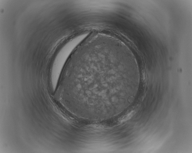 X0000075900733200609151411