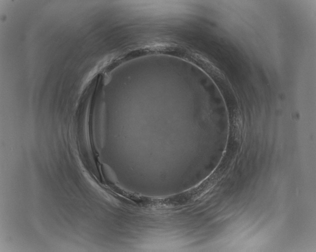 X0000075900734200609151411