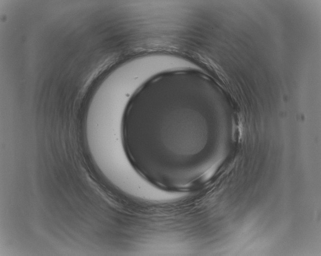 X0000075900735200609151411