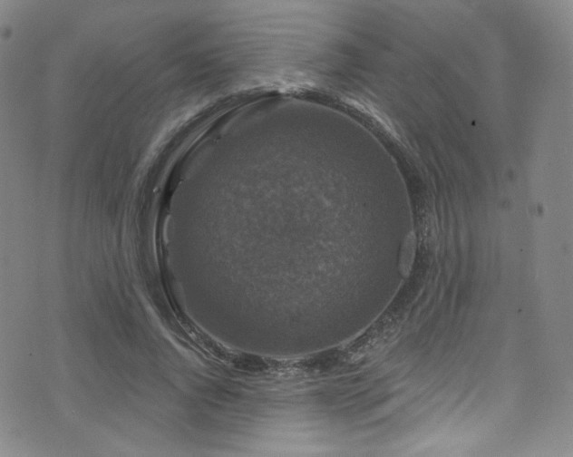 X0000075900736200609151411