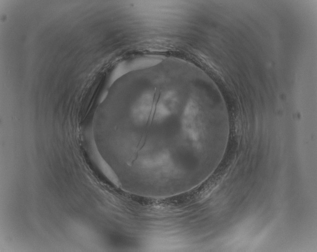 X0000075900737200609151411