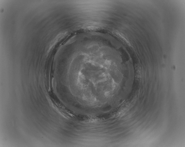 X0000075900738200609151411