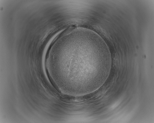 X0000075900739200609151411