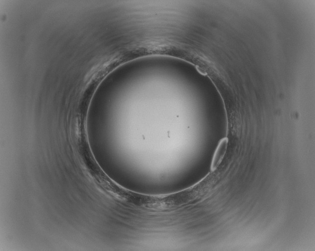 X0000075900740200609151411