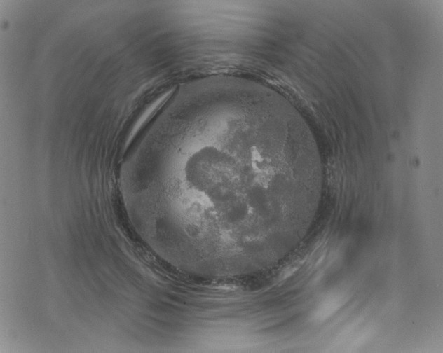 X0000075900741200609151411