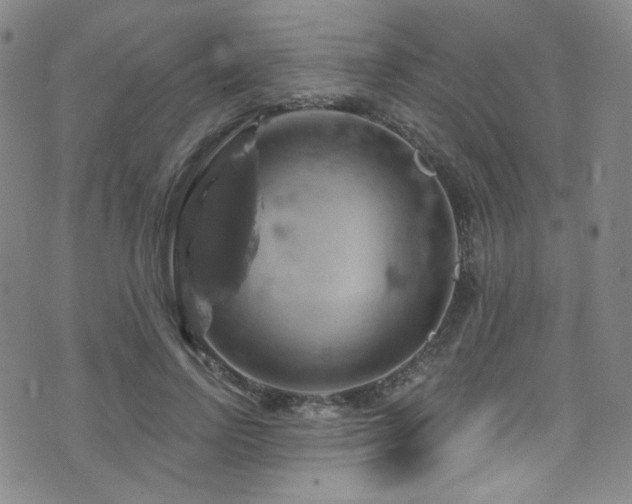 X0000075900742200609151411