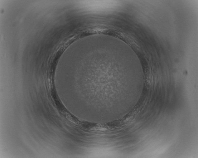 X0000075900743200609151411