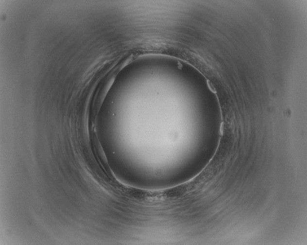 X0000075900744200609151411