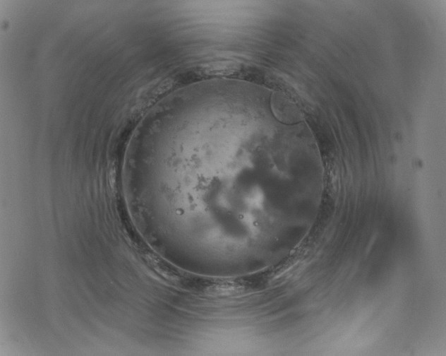 X0000075900745200609151411