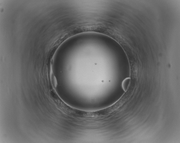 X0000075900746200609151411