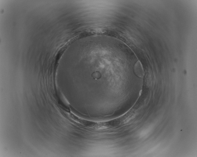 X0000075900747200609151411