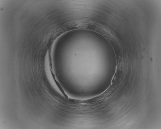 X0000075900748200609151411