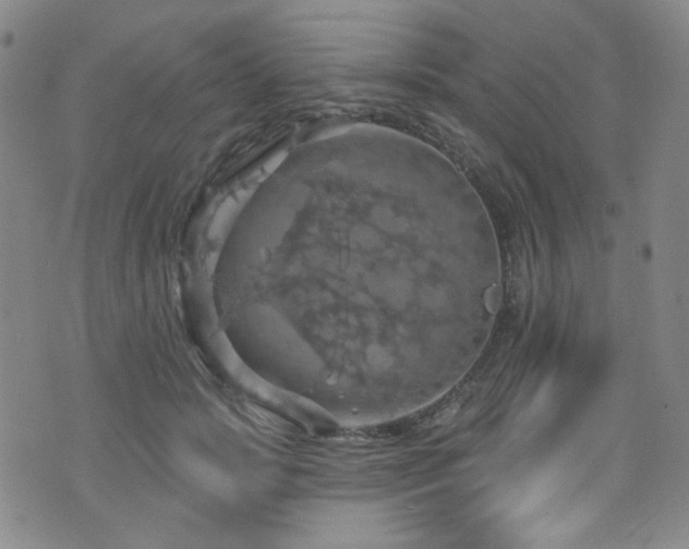 X0000075900749200609151411