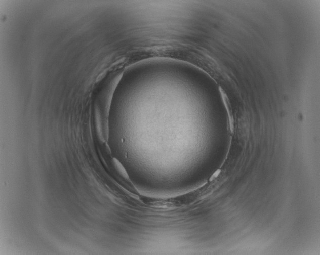 X0000075900750200609151411