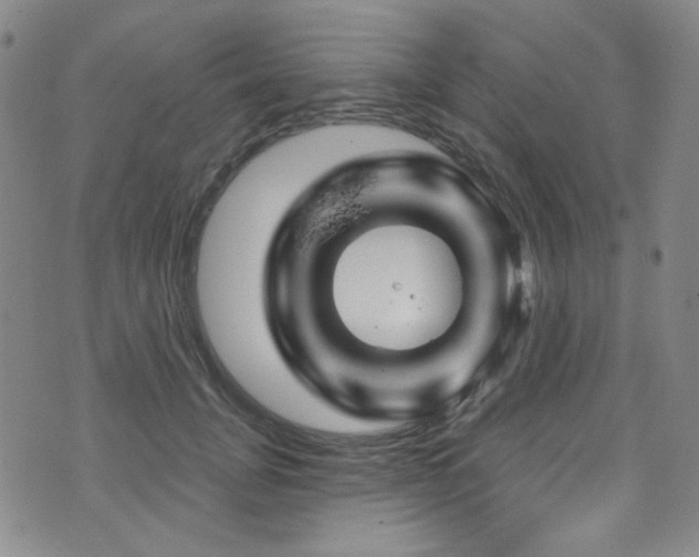 X0000075900751200609151411