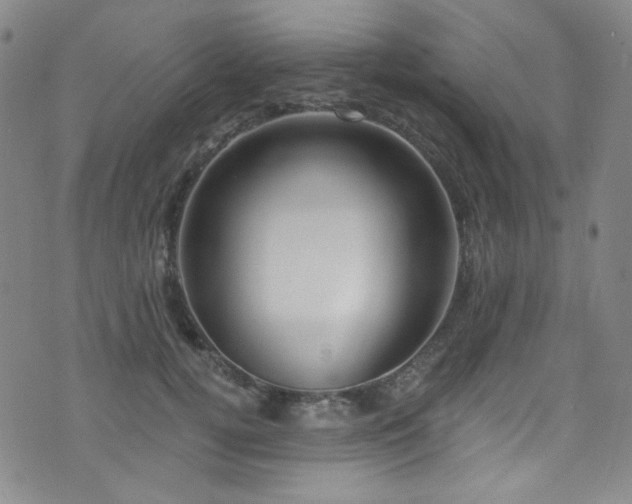 X0000075900752200609151411