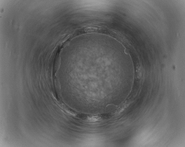 X0000075900753200609151411