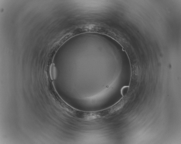 X0000075900754200609151411