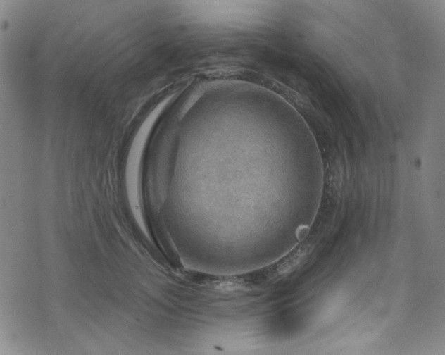 X0000075900755200609151411