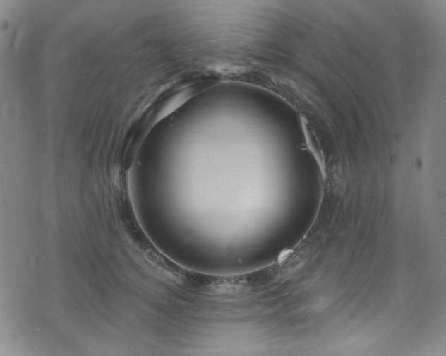 X0000075900756200609151411