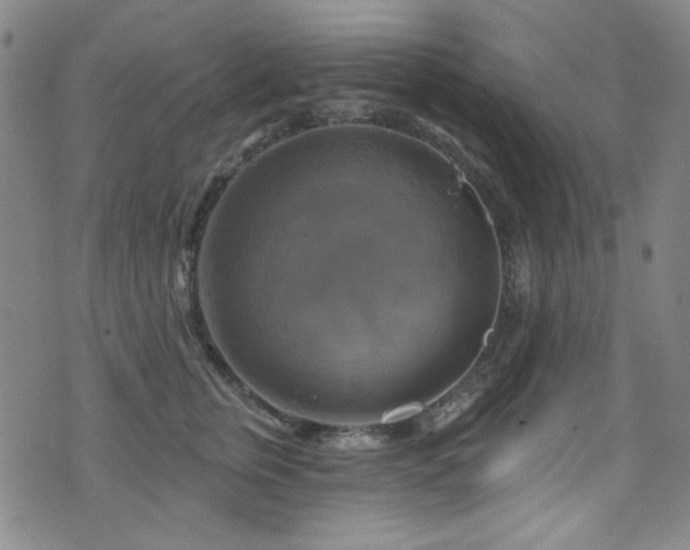 X0000075900759200609151411