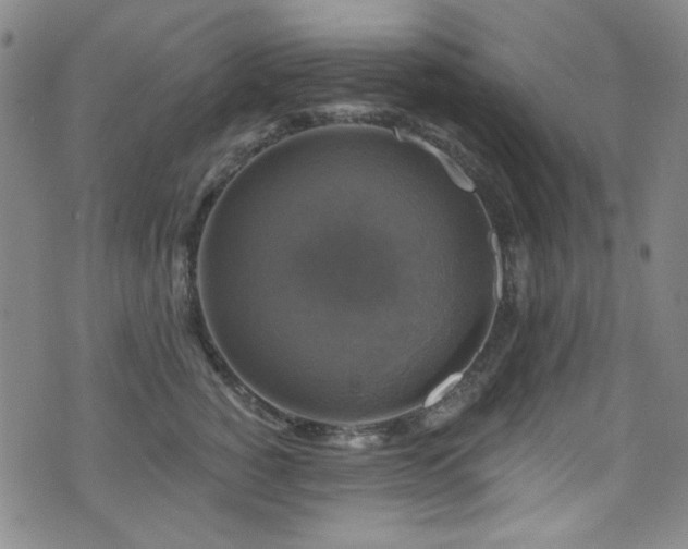 X0000075900760200609151411