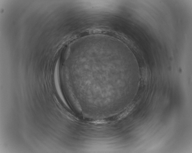 X0000075900761200609151411