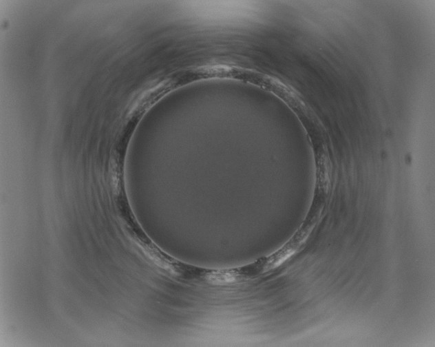 X0000075900762200609151411