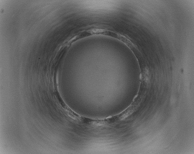 X0000075900763200609151411