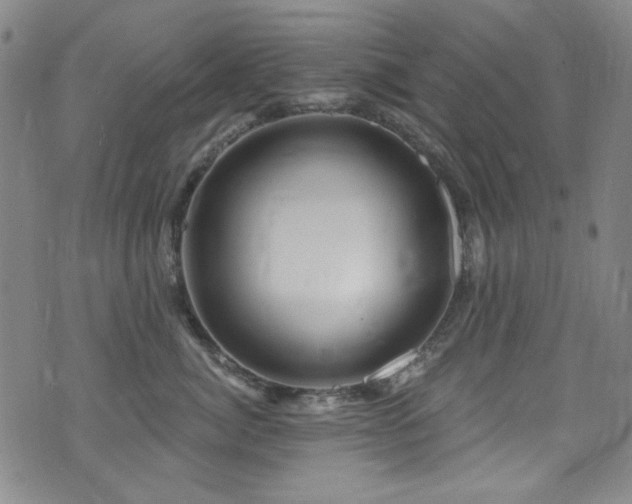 X0000075900764200609151411