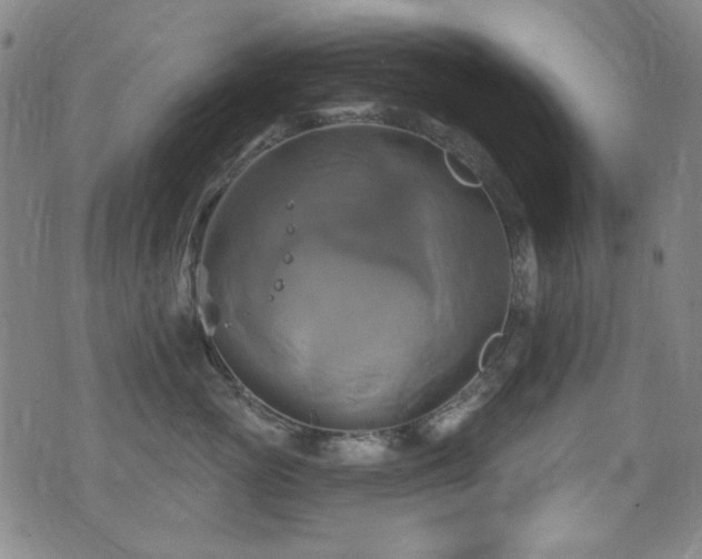 X0000075900765200609151411