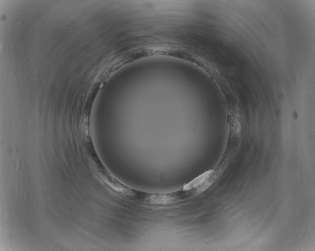 X0000075900766200609151411