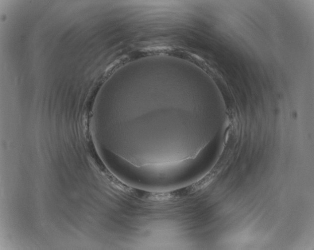 X0000075900767200609151411