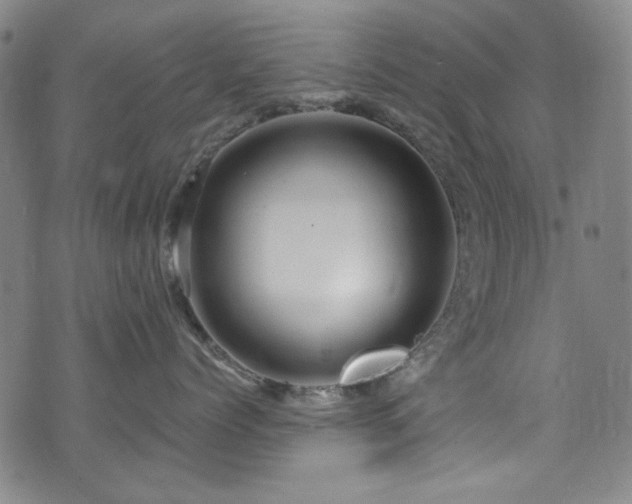 X0000075900768200609151411