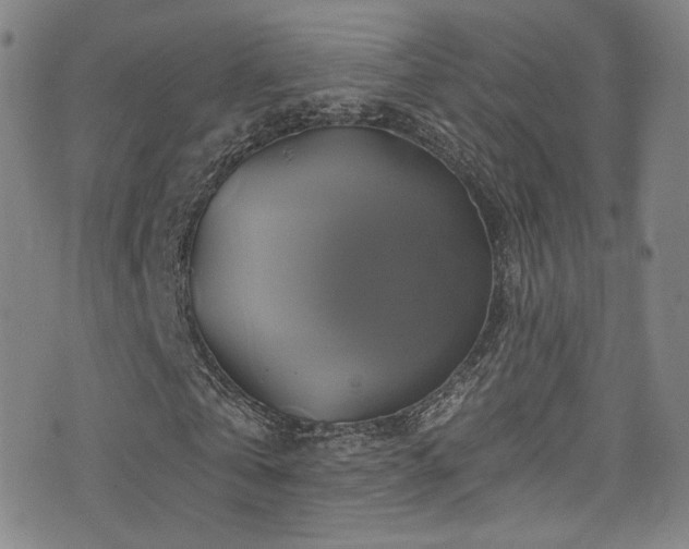 X0000075900769200609151410