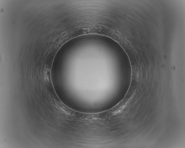 X0000075900770200609151410