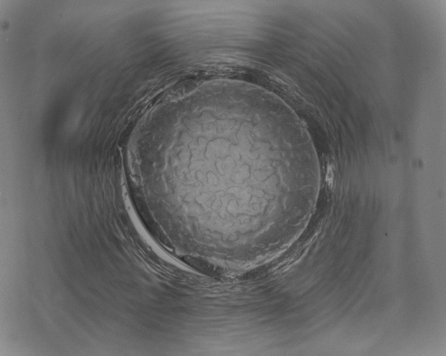 X0000075900771200609151410