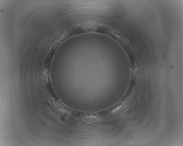 X0000075900772200609151410