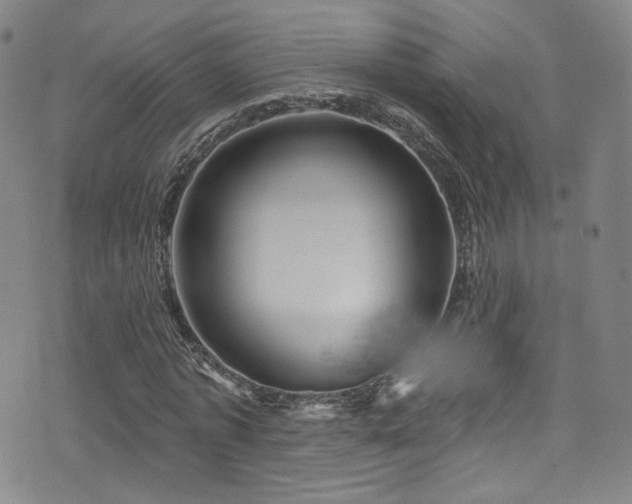 X0000075900773200609151410