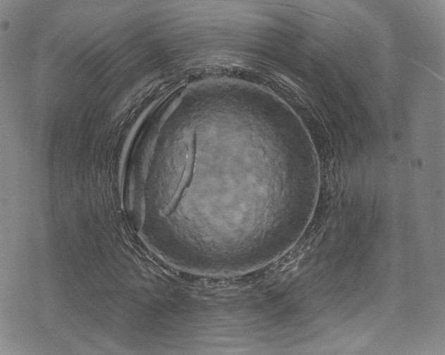 X0000075900774200609151410