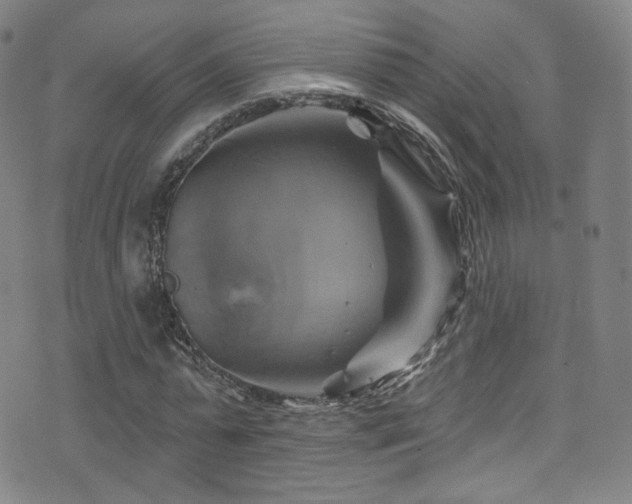 X0000075900775200609151410