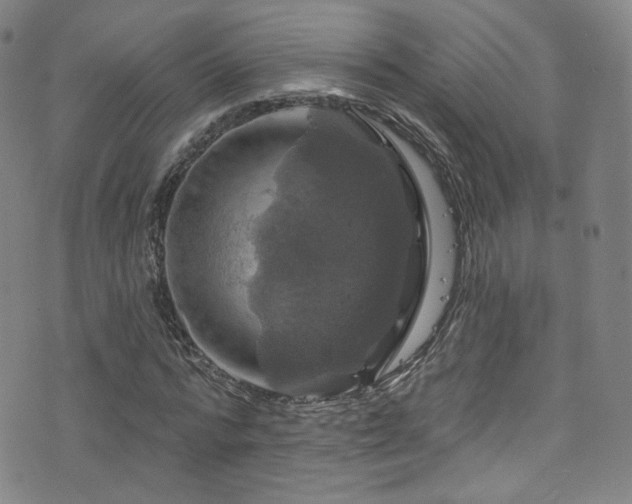 X0000075900776200609151410