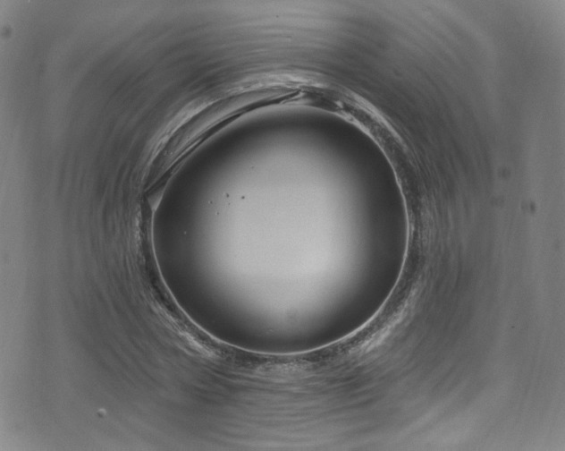 X0000075900778200609151410