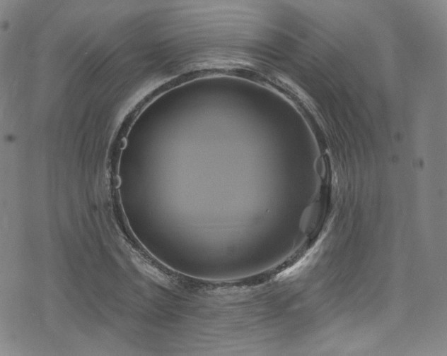 X0000075900779200609151410