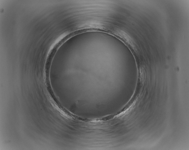 X0000075900780200609151410