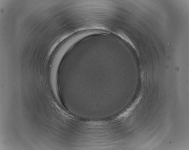 X0000075900781200609151410