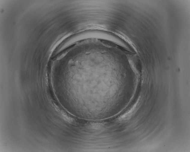 X0000075900782200609151410