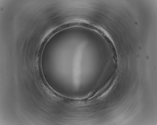 X0000075900783200609151410