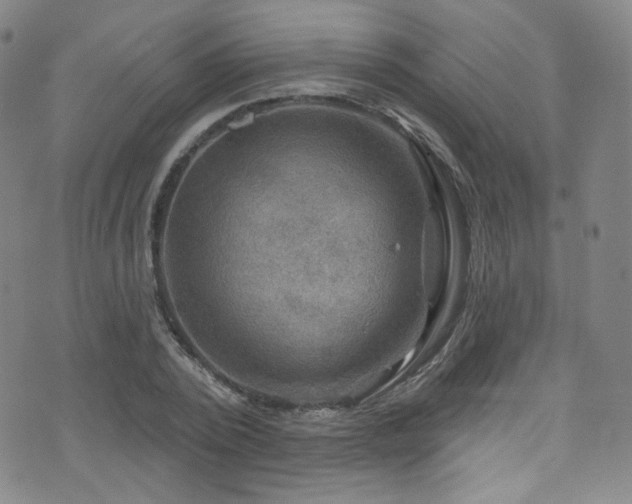 X0000075900784200609151410