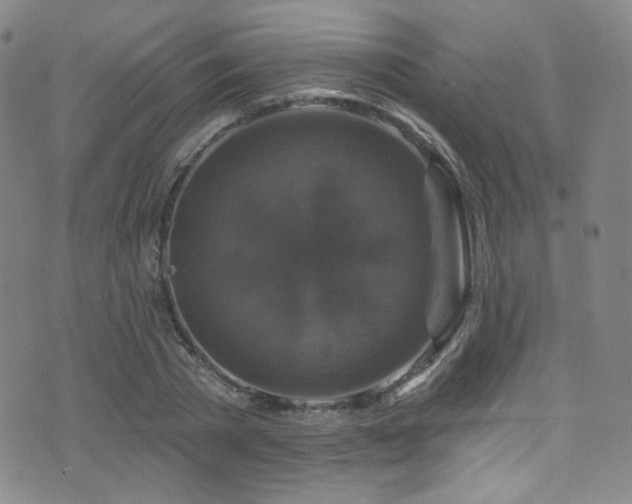 X0000075900785200609151410